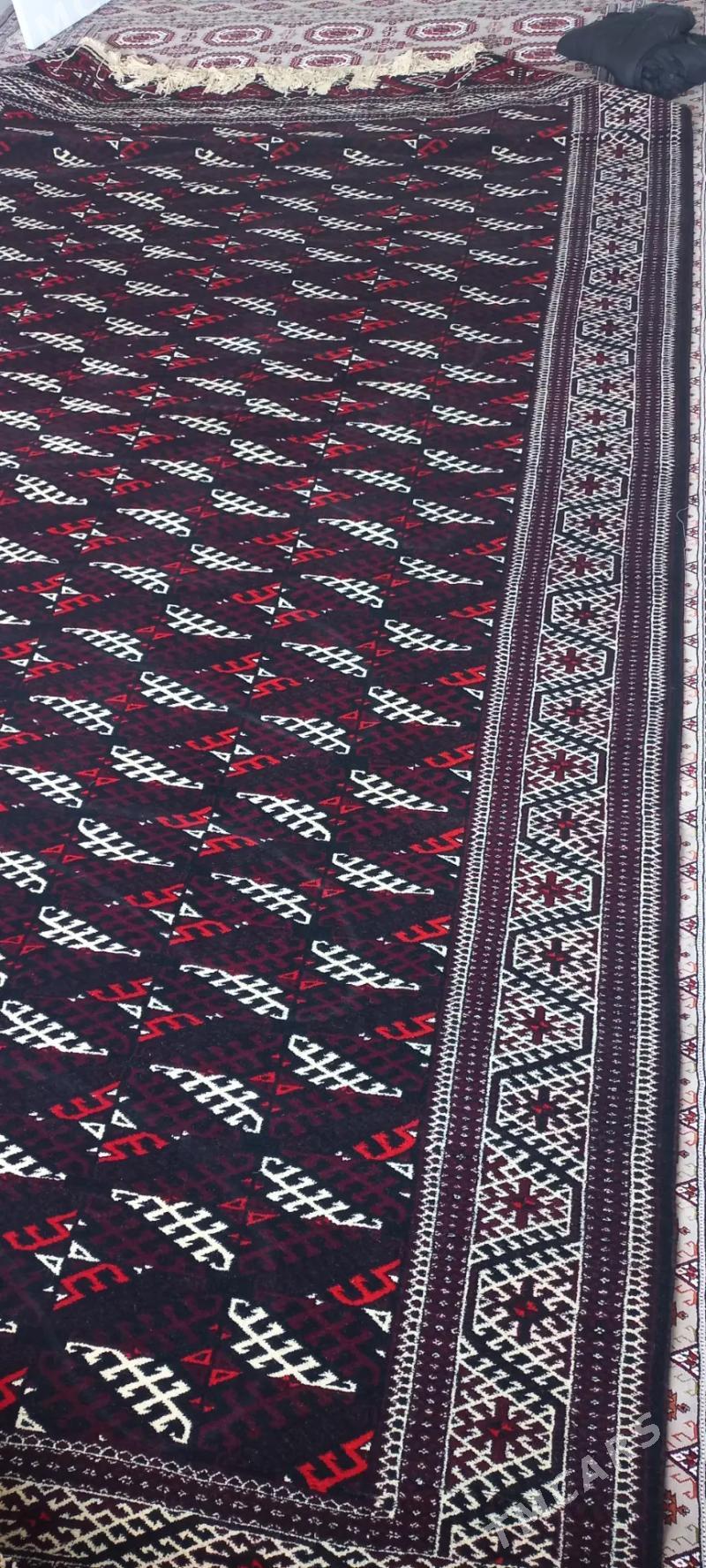 gara haly - Balkanabat - img 3