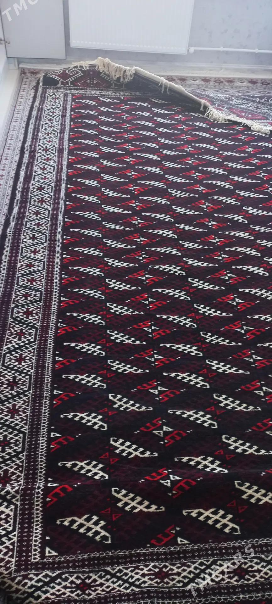 gara haly - Balkanabat - img 2