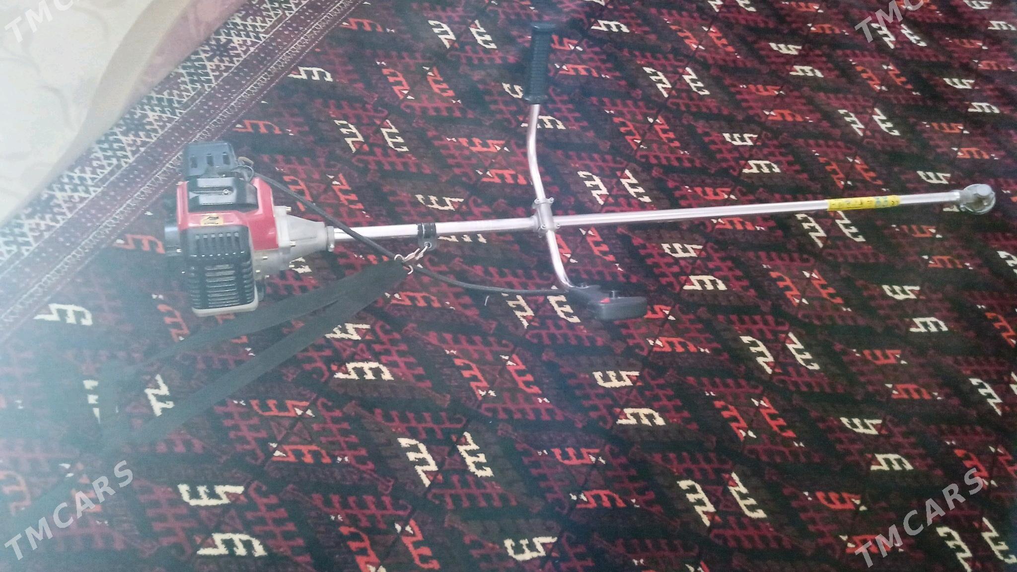 ot oryan - Gyzylarbat - img 2