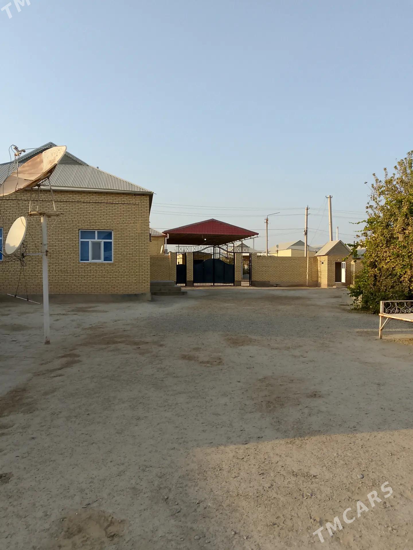 Satlyk jay - Mary - img 2