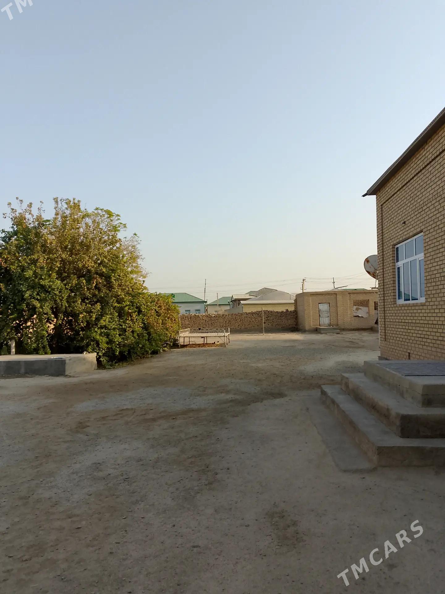 Satlyk jay - Mary - img 1