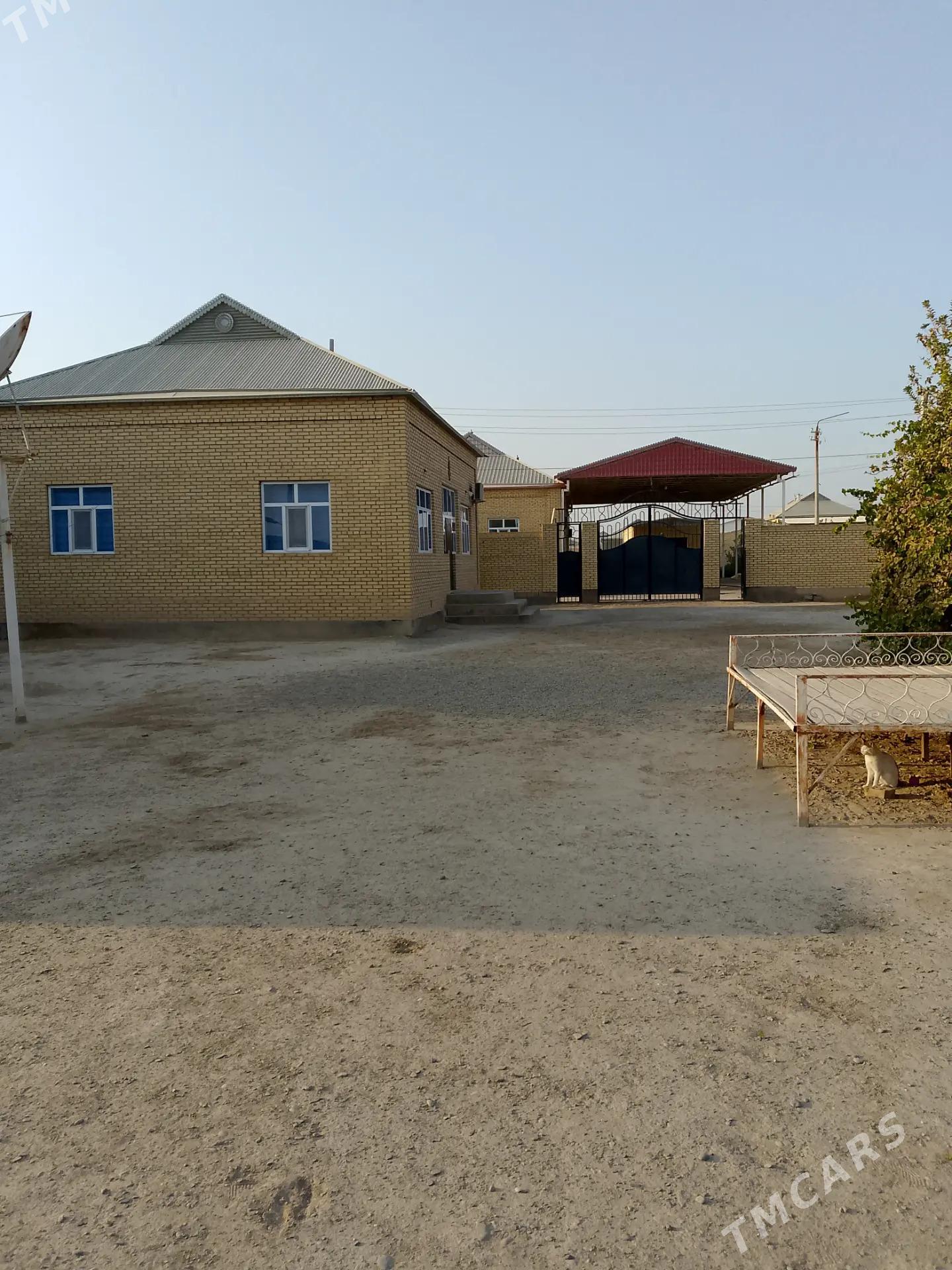 Satlyk jay - Mary - img 3