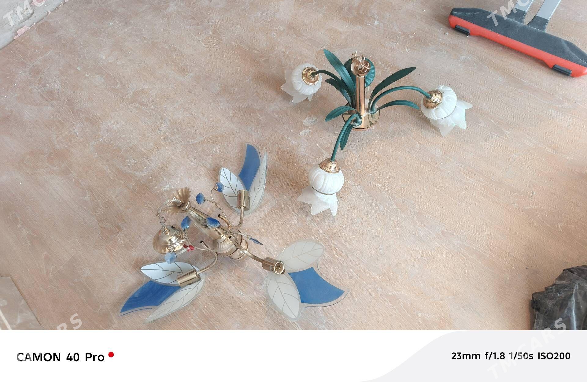 lustyra - Parahat 7 - img 3