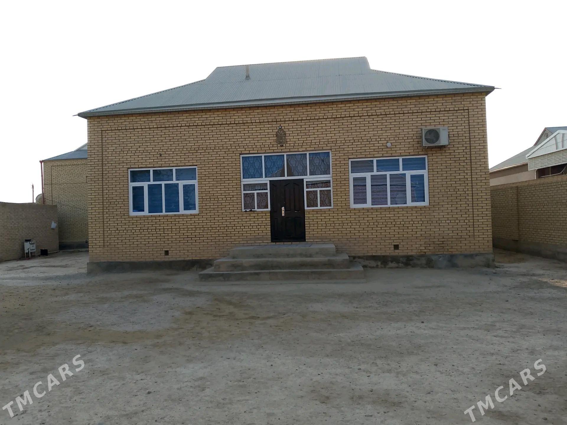 Satlyk jay - Mary - img 4