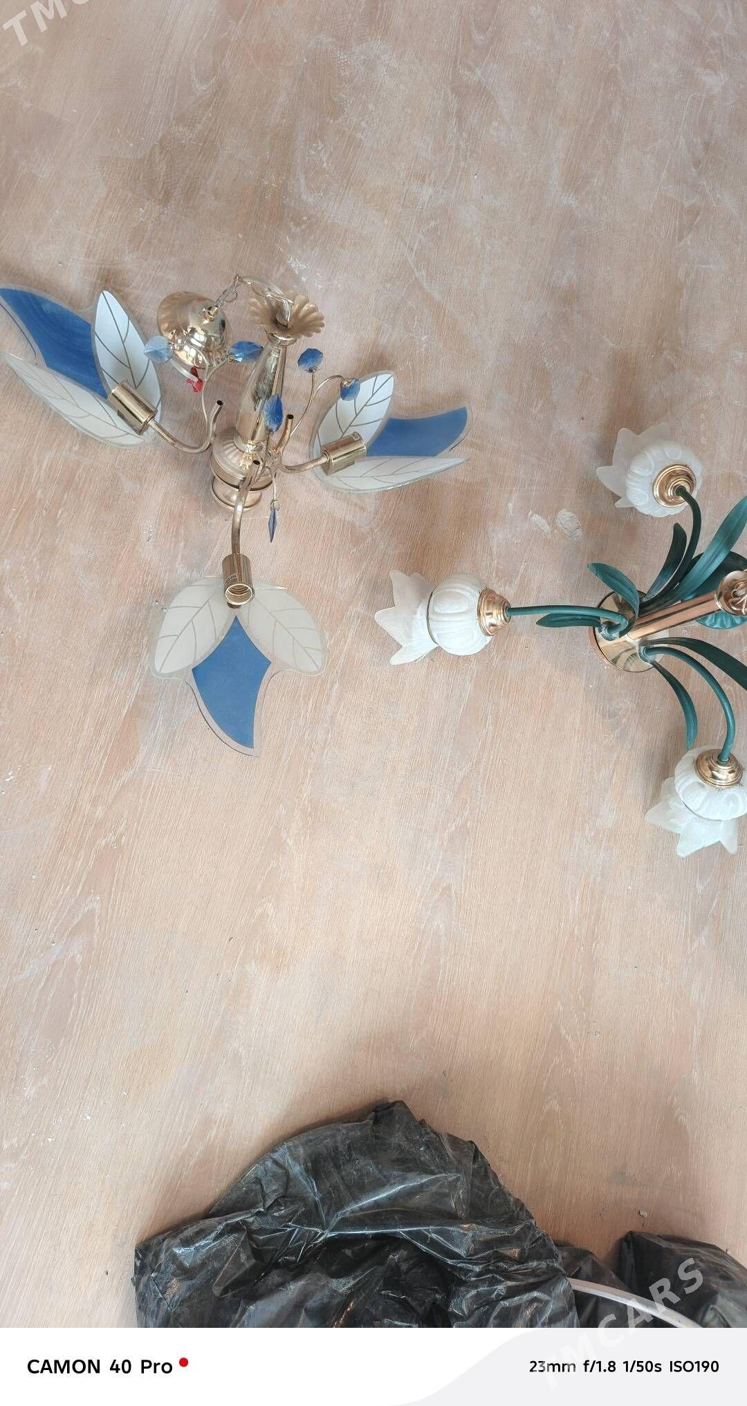 lustyra - Parahat 7 - img 2