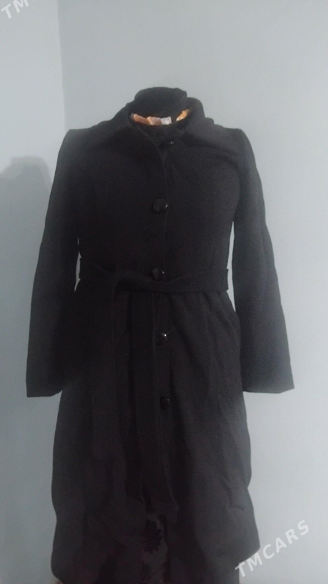 palto kurtga - Daşoguz - img 4