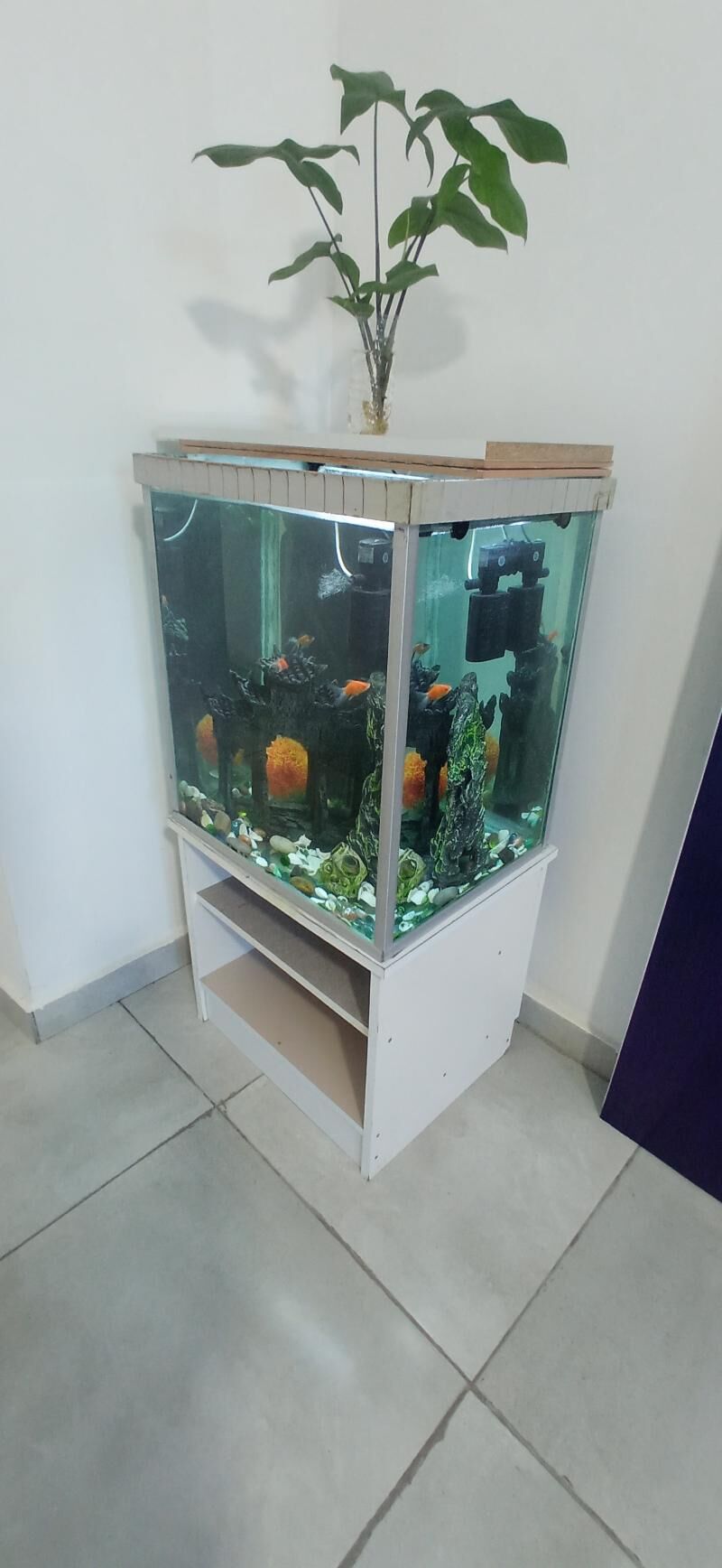 Akvarium  - Балканабат - img 5