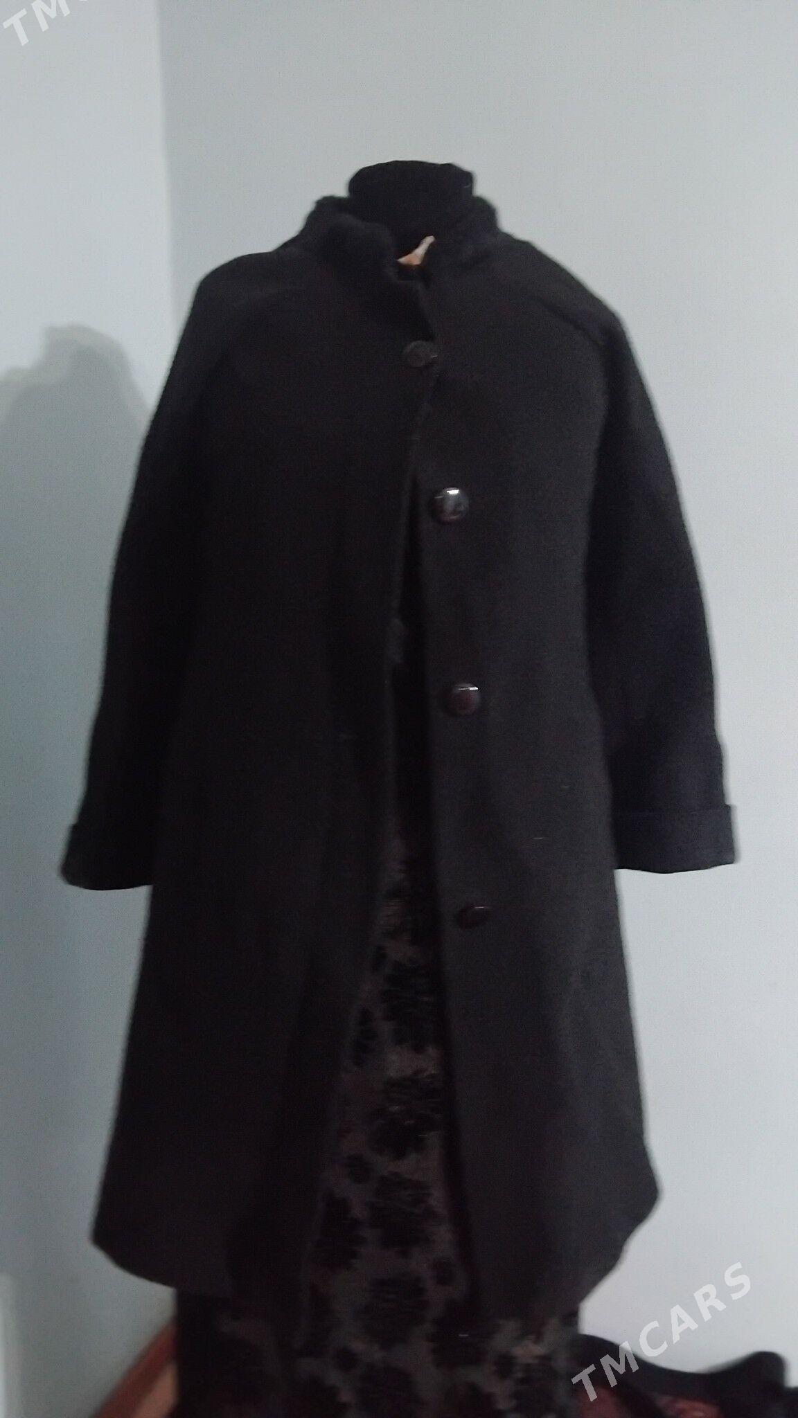 palto kurtga - Daşoguz - img 2