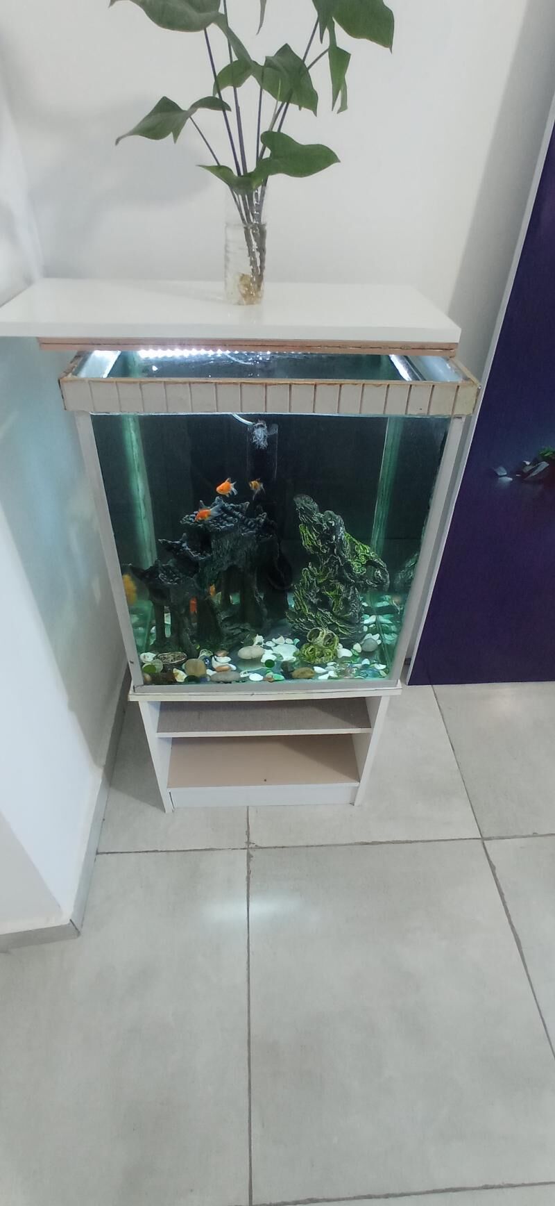 Akvarium  - Балканабат - img 2