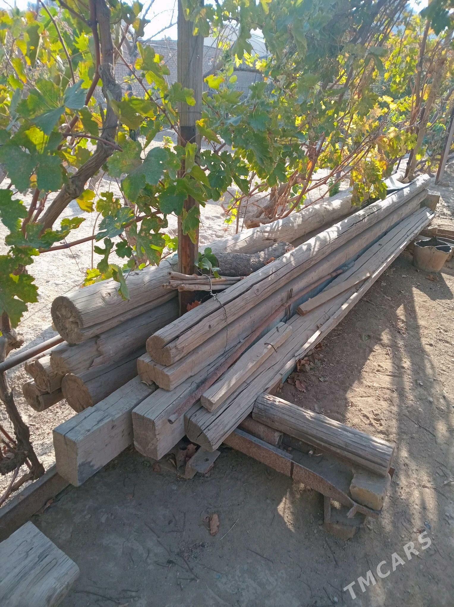Agaclar   Nawlar - Кака - img 1