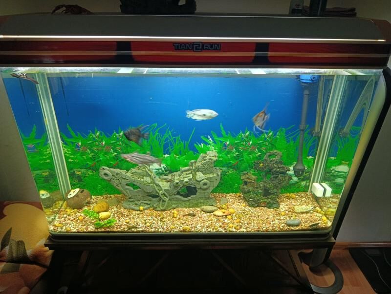 Аквариум 300л - 30 мкр - img 2