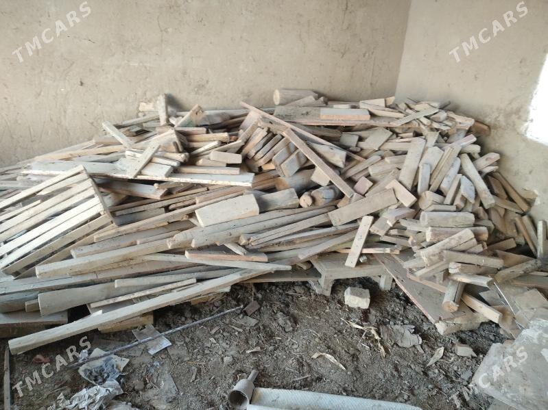 agaclar odun ucin - Baýramaly - img 2