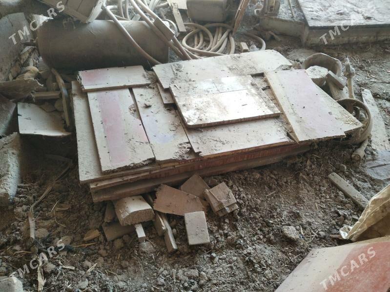 agaclar odun ucin - Baýramaly - img 3