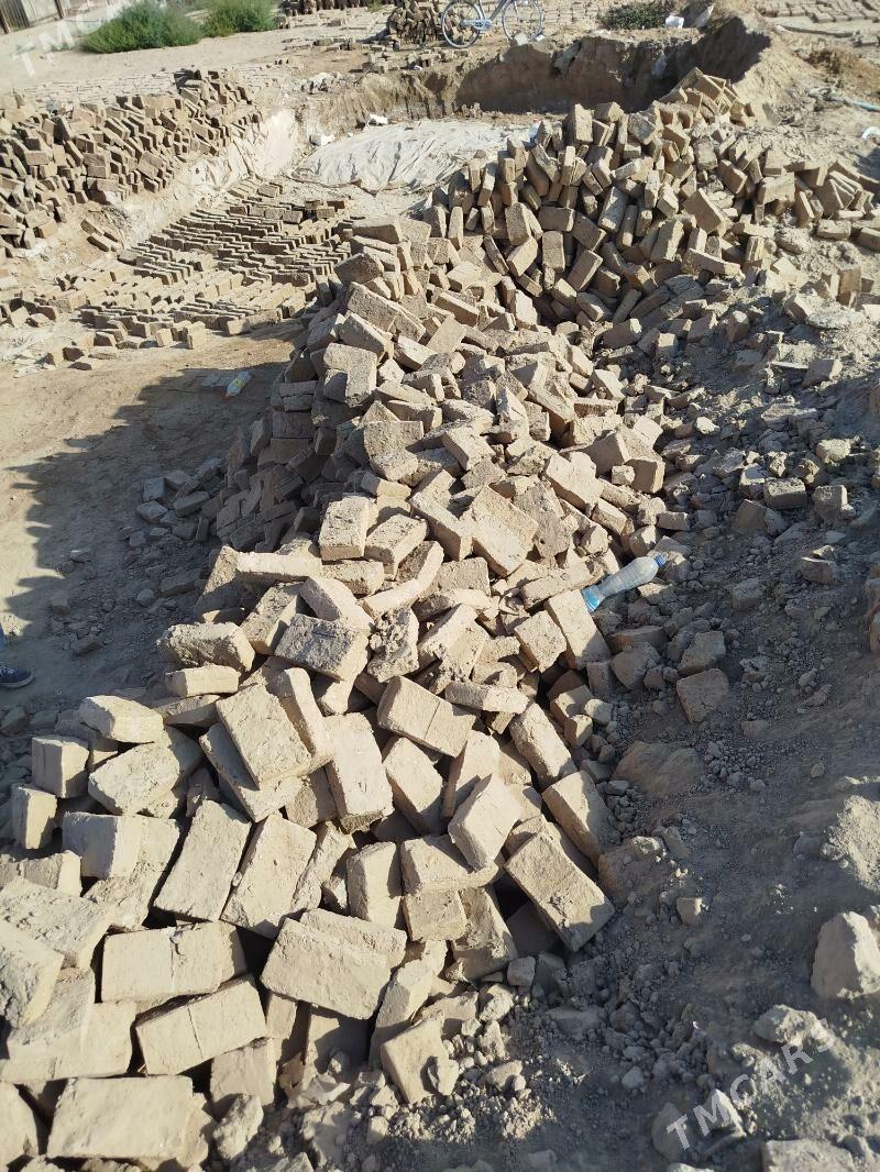 cig kerpic - Sakarçäge - img 1