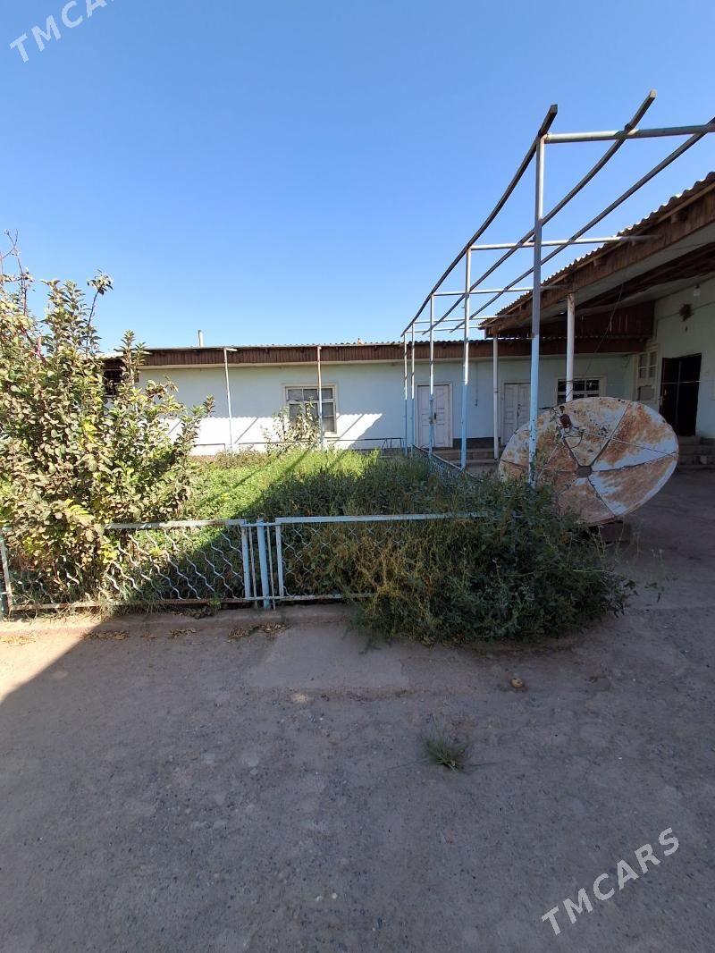 satlyk plan jay - Теджен - img 5