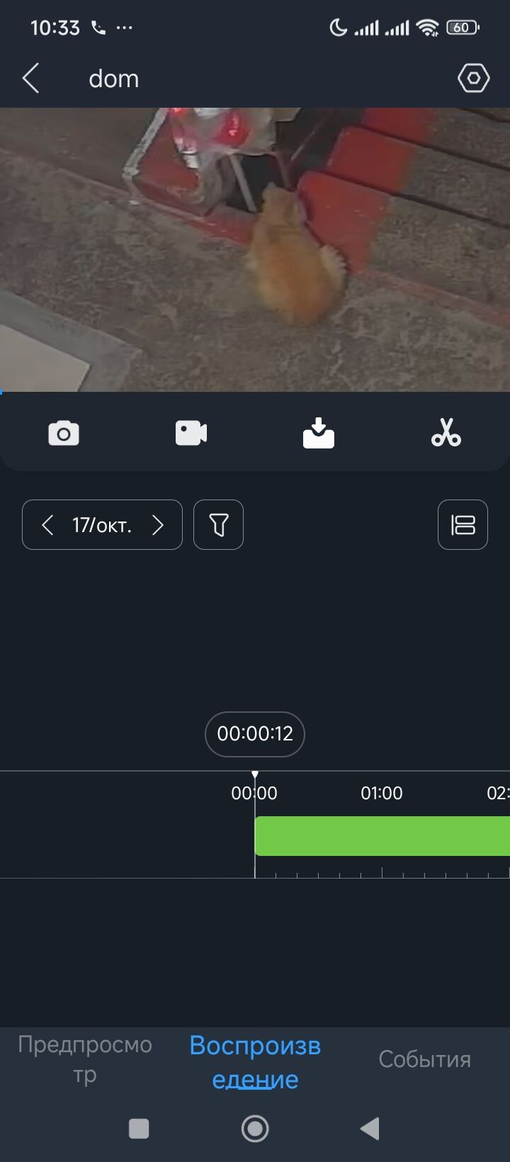 ПРОПАЛ pisik - Туркменабат - img 2