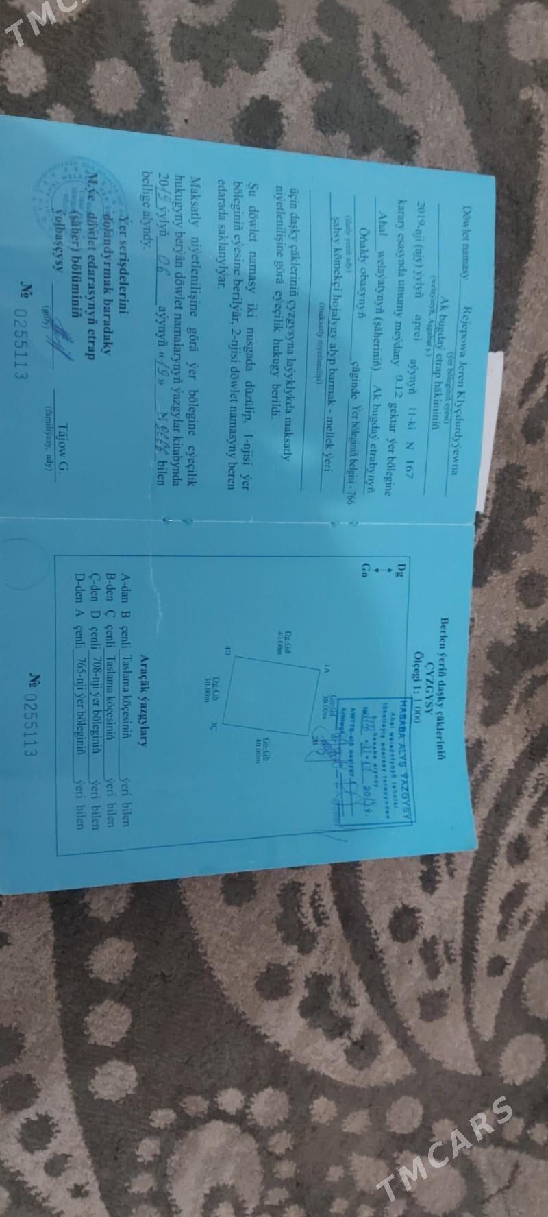 Oñaldy jaý - Анев - img 2