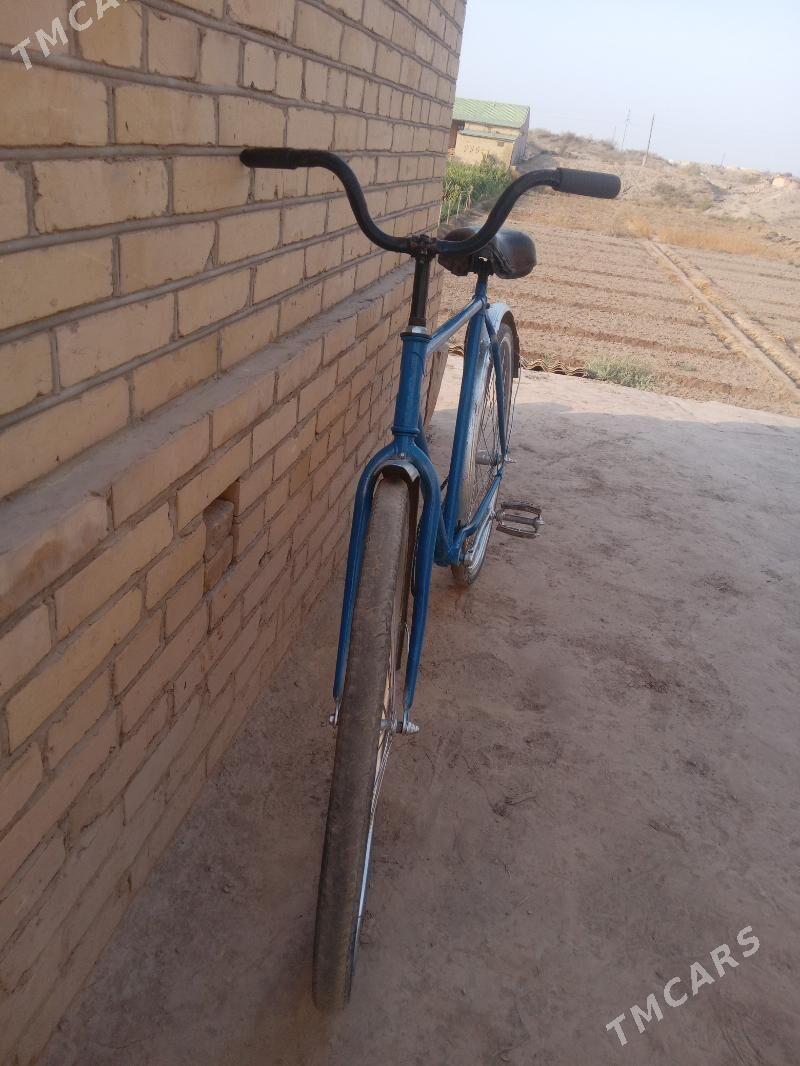 AIST WELIK - Kerki - img 3