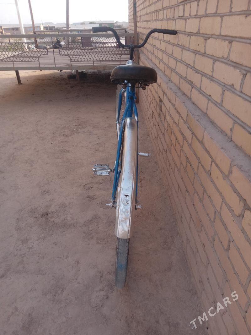 AIST WELIK - Kerki - img 2