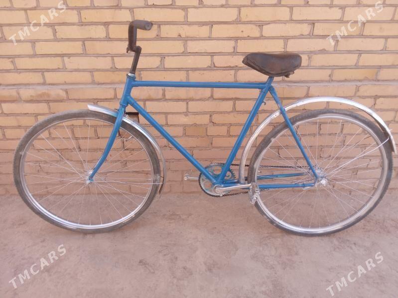 AIST WELIK - Kerki - img 1