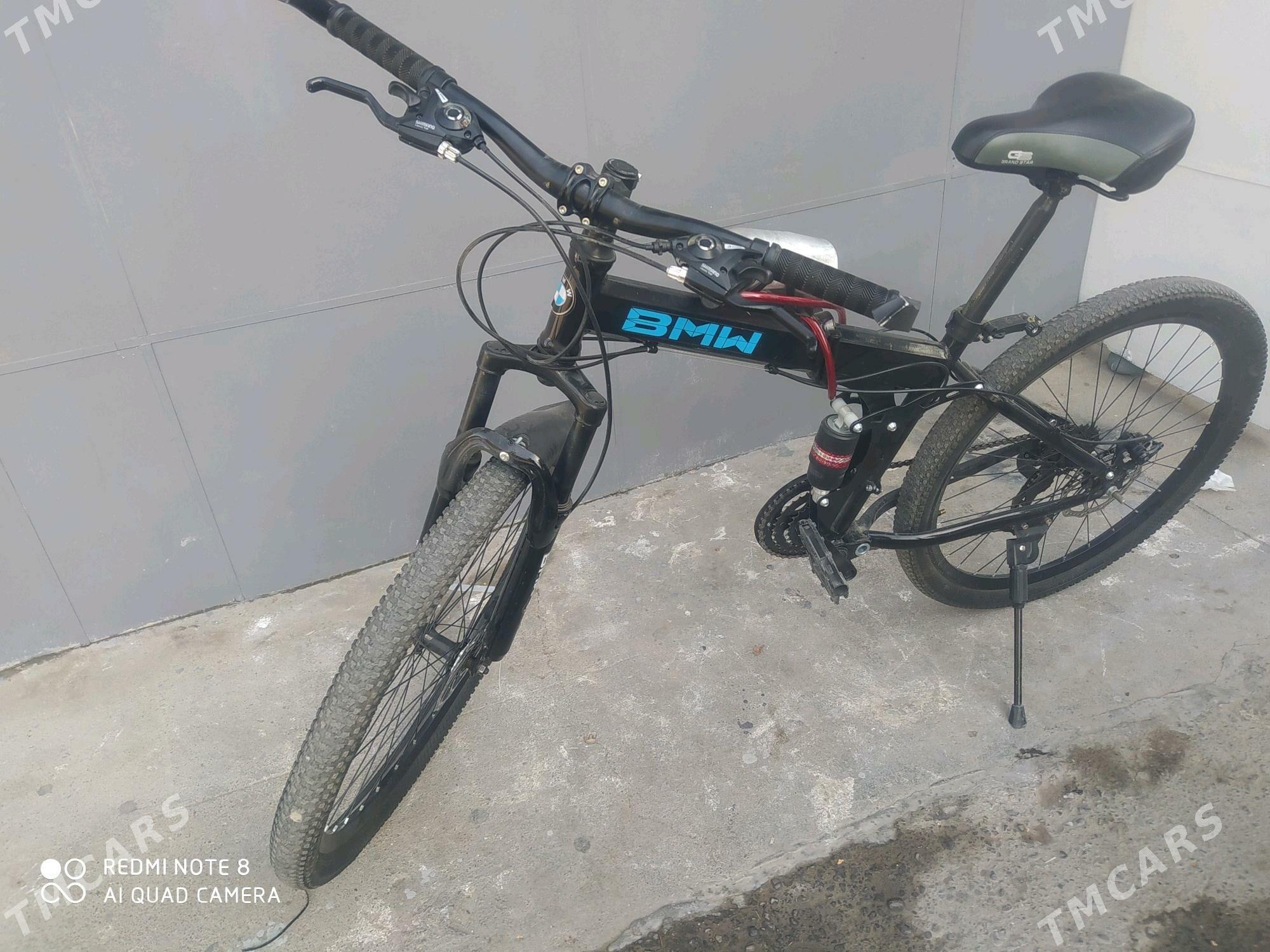 Tigir - 11 mkr - img 3