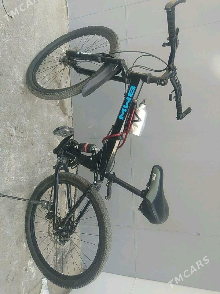 Tigir - 11 mkr - img 2