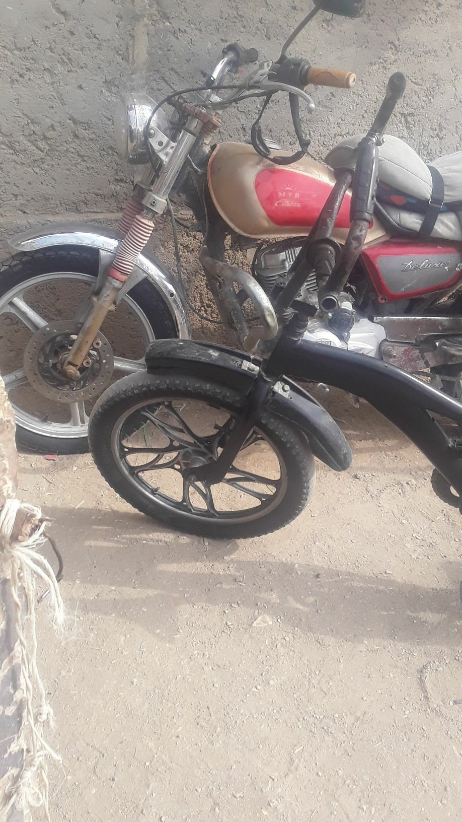 welik - Gumdag - img 3