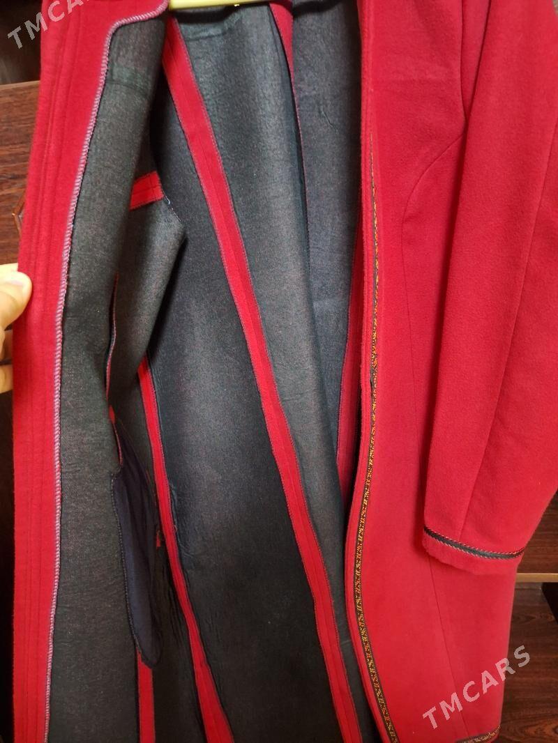 Talyp ucn begres - 30 mkr - img 2