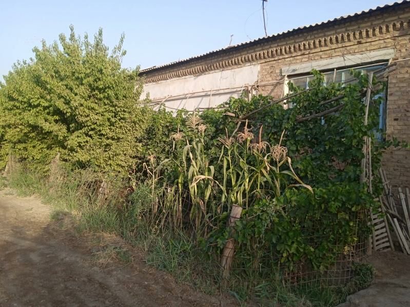 satlyk jay  Boldumsaz - Болдумсаз - img 7