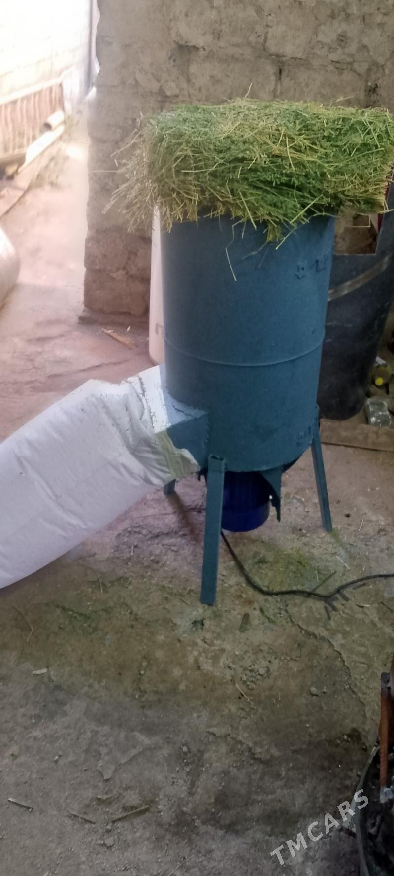 ot uweyan - Aşgabat - img 4