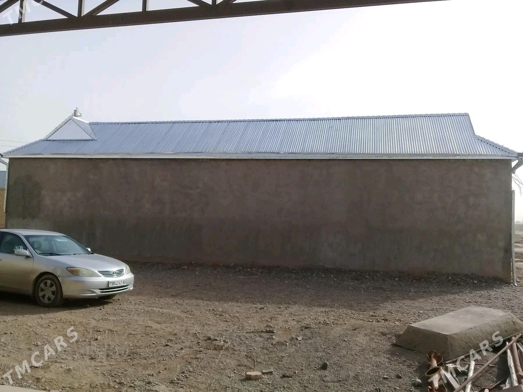 Satlyk jay - Серахс - img 3