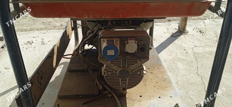 diwijok - Bäherden - img 2