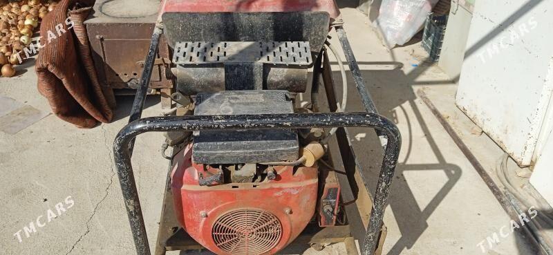 diwijok - Bäherden - img 4