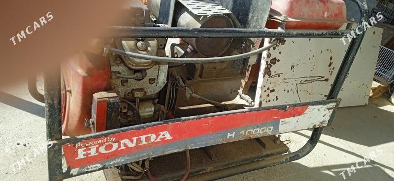 diwijok - Bäherden - img 5