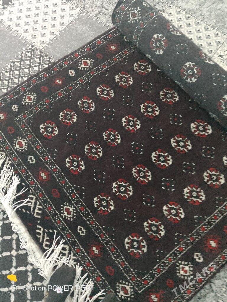 haly - Balkanabat - img 2