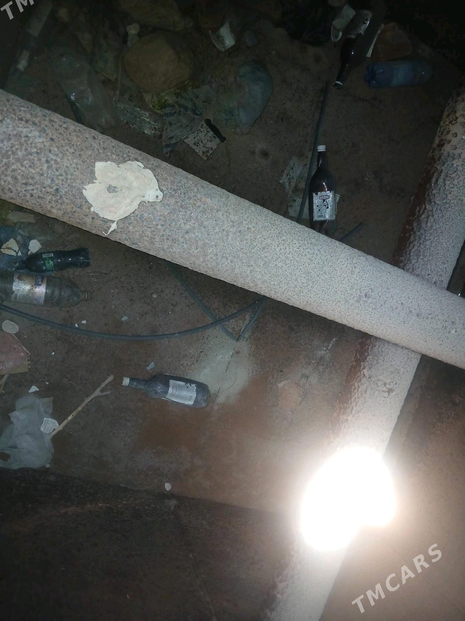 demir bocka bahasy - Гёкдепе - img 1