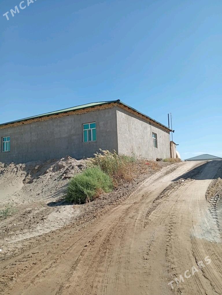 jay gulistan - Дашогуз - img 1