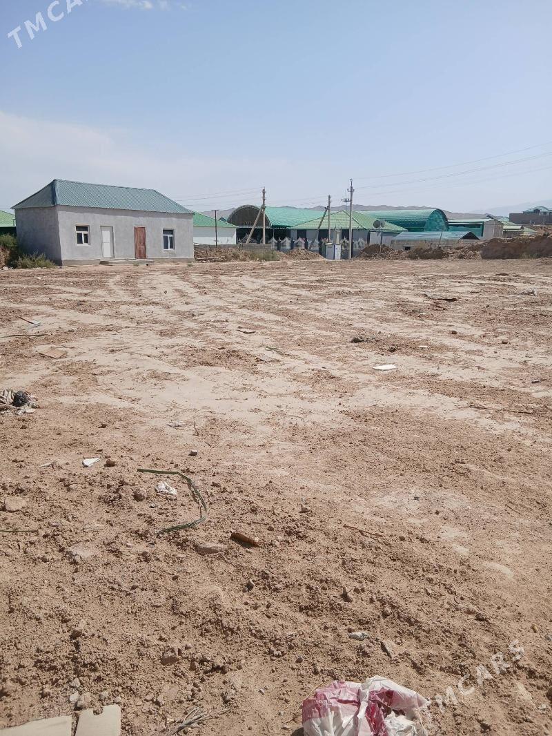 Anew Magtymguly 16sotuk - Анев - img 1