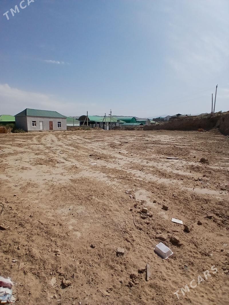 Anew Magtymguly 16sotuk - Анев - img 4