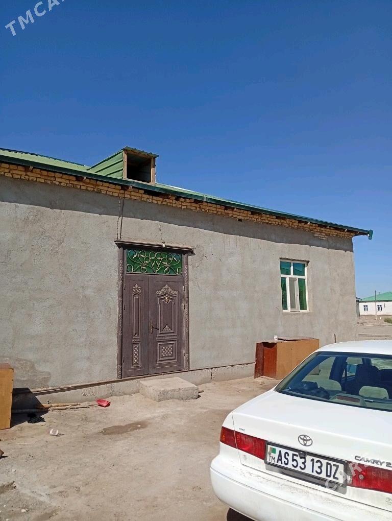 jay gulistan - Дашогуз - img 7