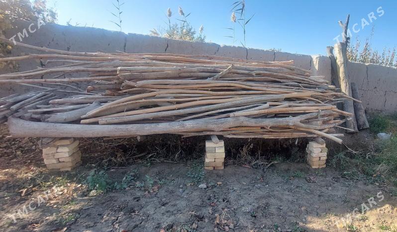 Hada - Şabat etr. - img 1