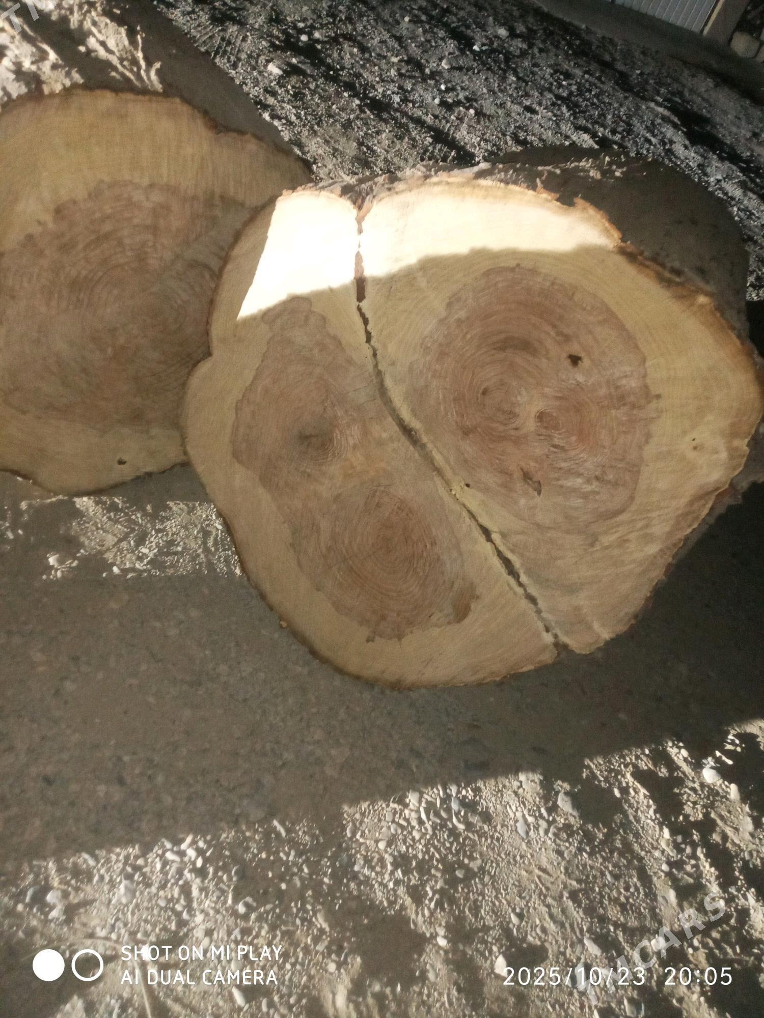 Et capkylar bar - Ашхабад - img 3