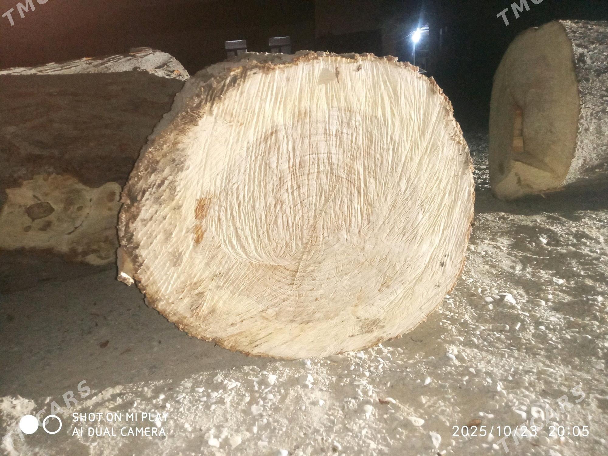 Et capkylar bar - Ашхабад - img 4