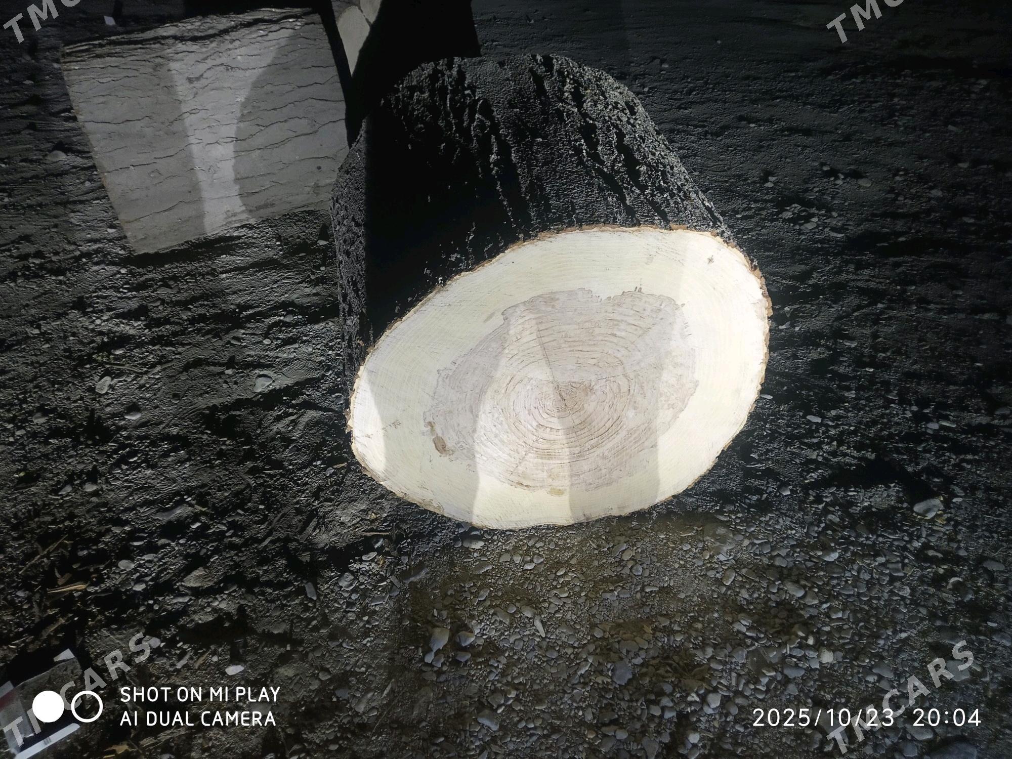 Et capkylar bar - Ашхабад - img 5