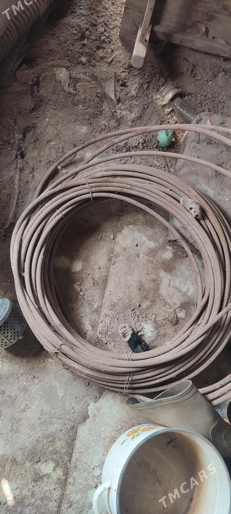 Tros hem Slanga - Türkmenabat - img 5