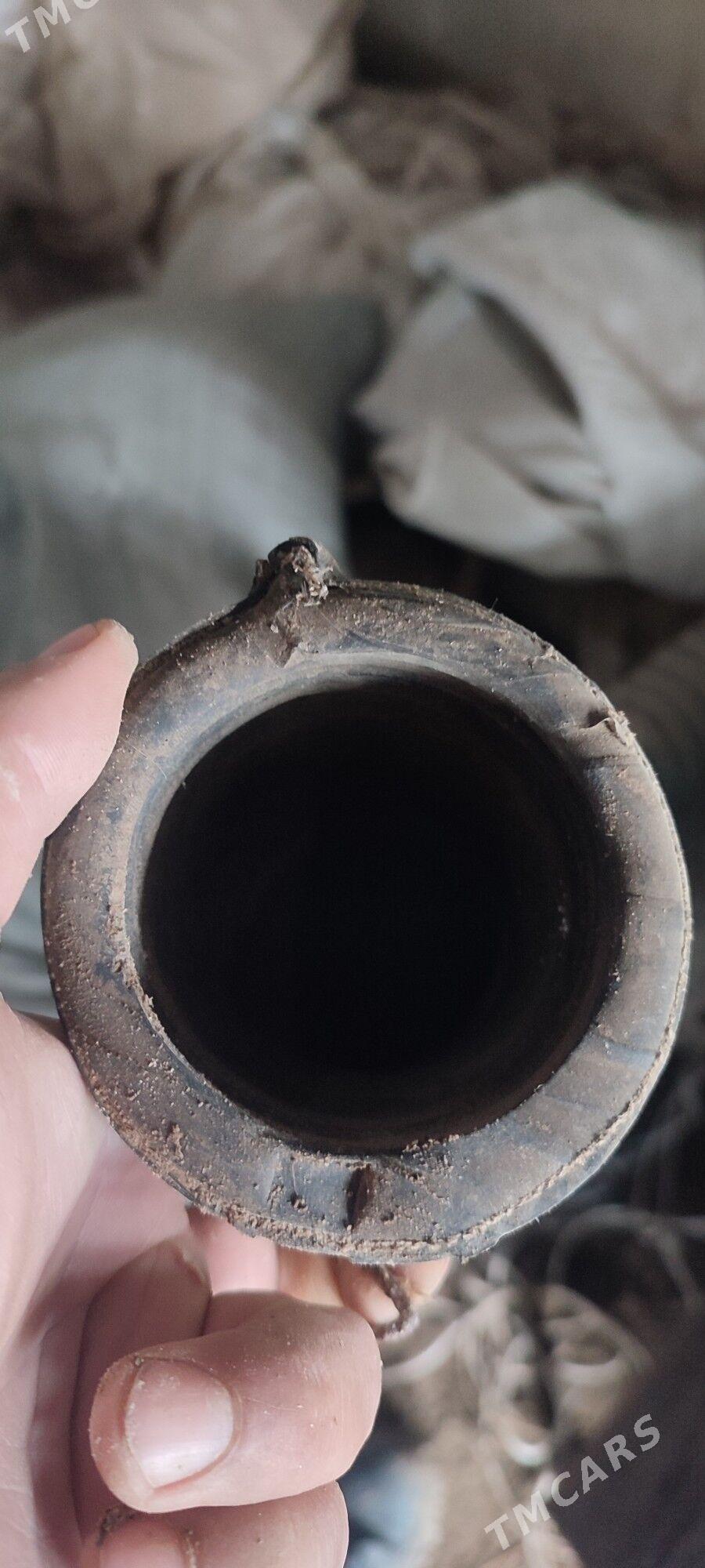 Tros hem Slanga - Türkmenabat - img 3