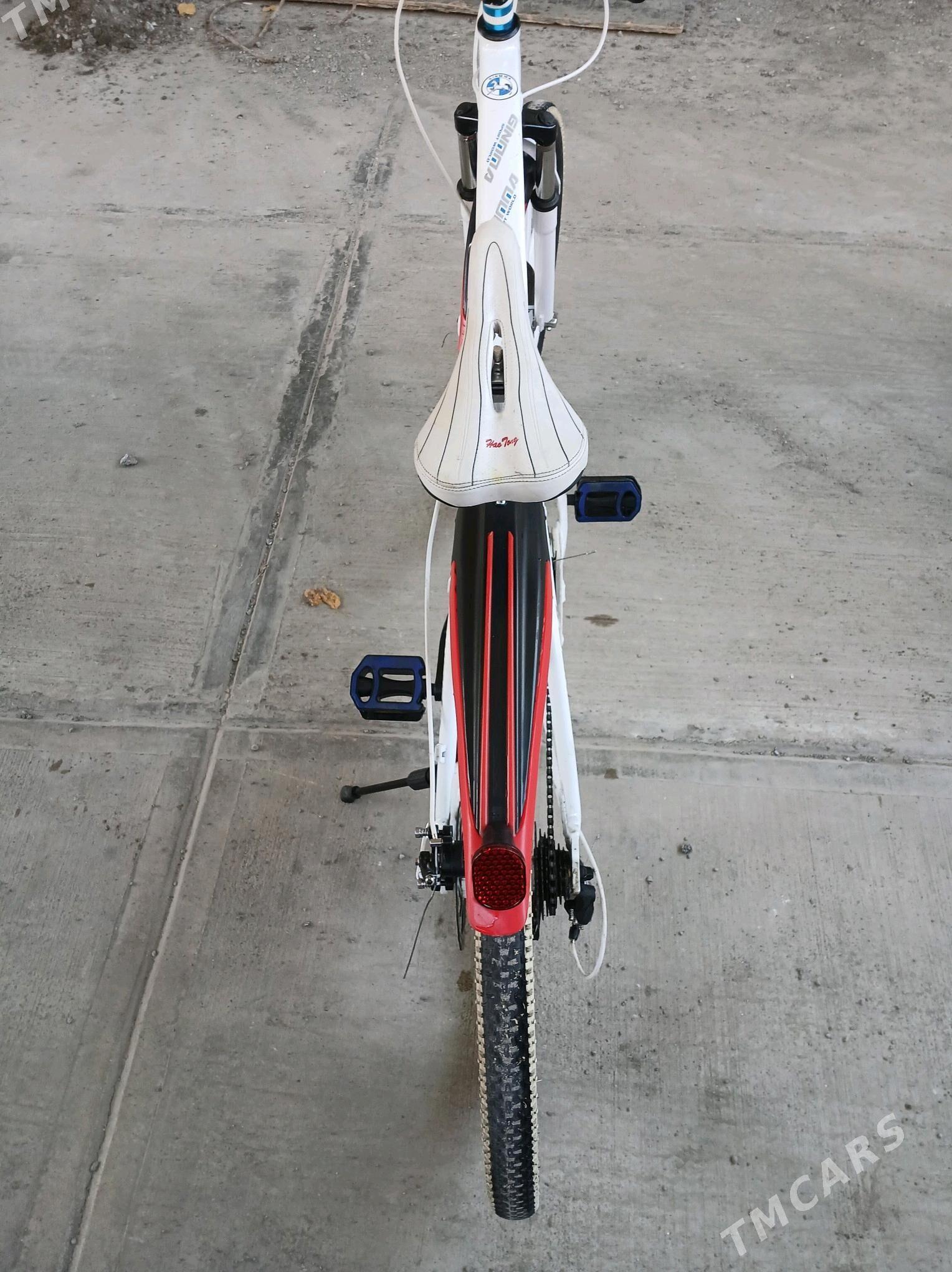 tigir SPORT велосипед 26LYK - Aşgabat - img 4