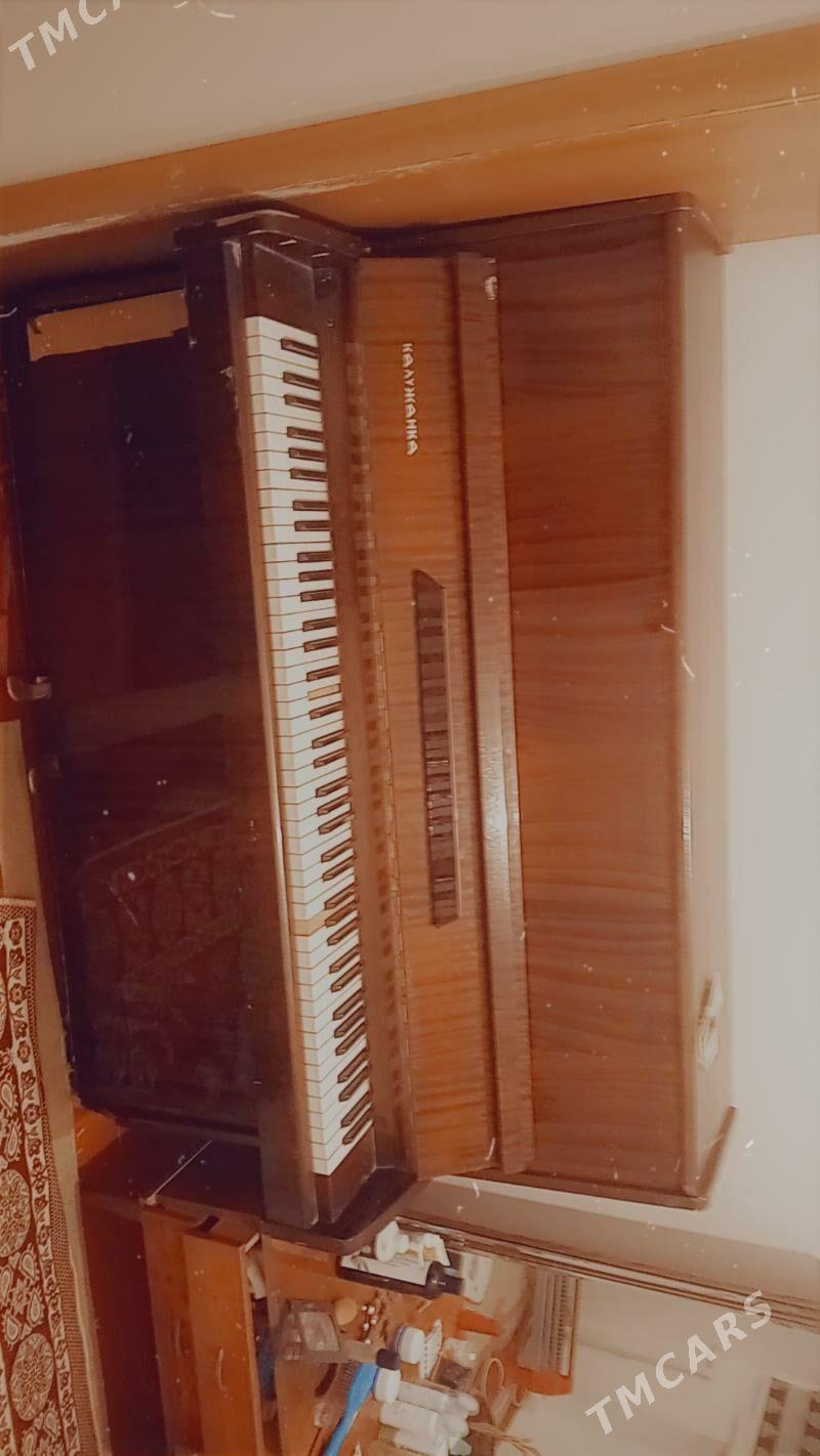 Saz gurallary - Хитровка - img 2