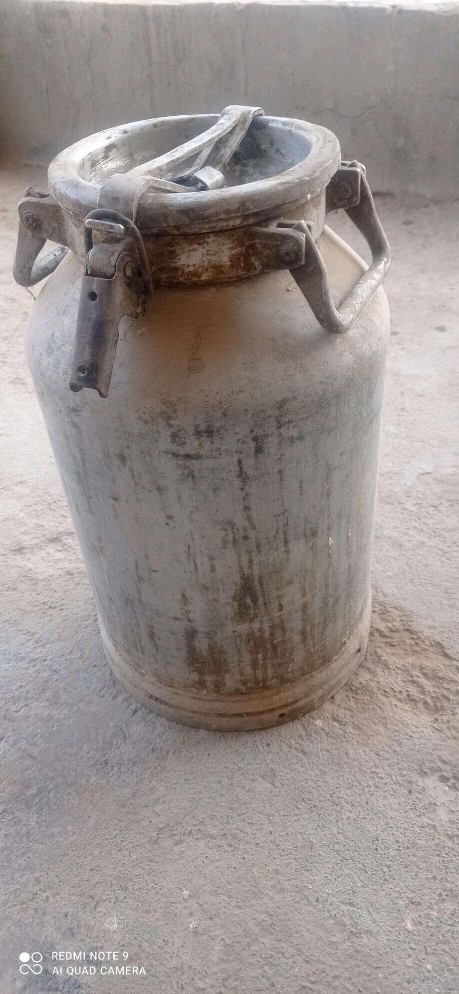 Pilyak plyag - Векильбазар - img 8