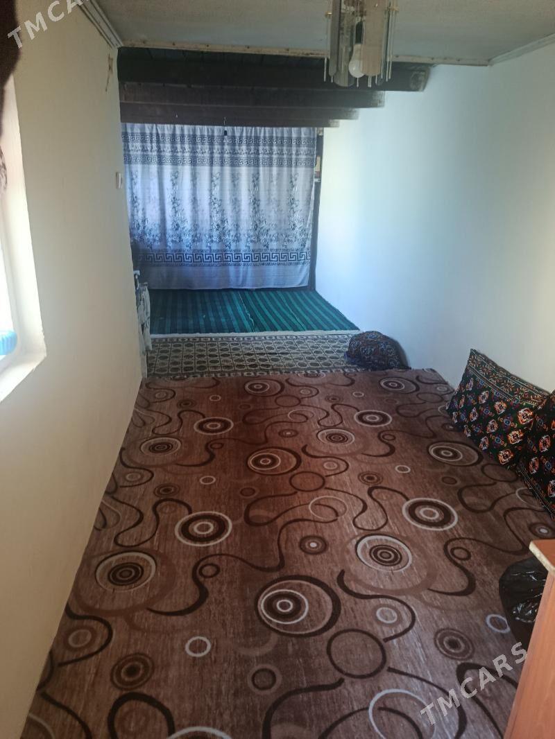 Kaka Satlyk jay - Кака - img 6